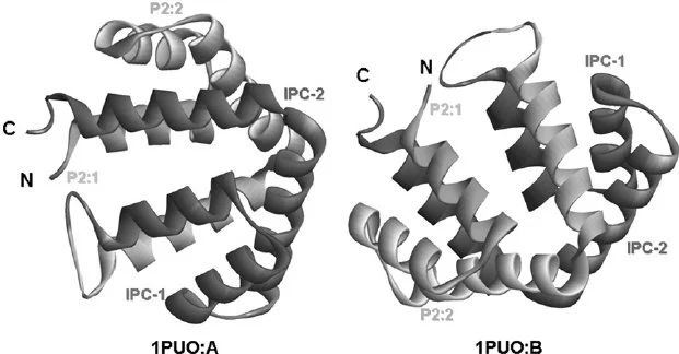 foto van fel-d1 op dna basis